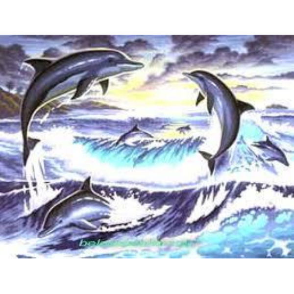 Набір для творчості Sequin Art PAINTING BY NUMBERS SENIOR Світанок з дельфінами SA0563