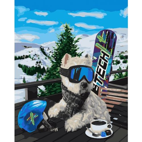 Картина по номерам "Сноубордист" ★★★★ КНО4171