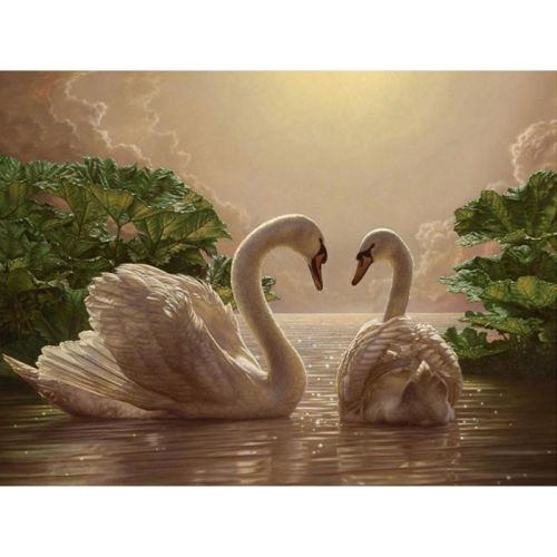 Картина по номерам "Пара лебедей" ★★★★ КНО301