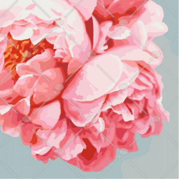 Картина по номерам "Розовые пионы" КНО3035