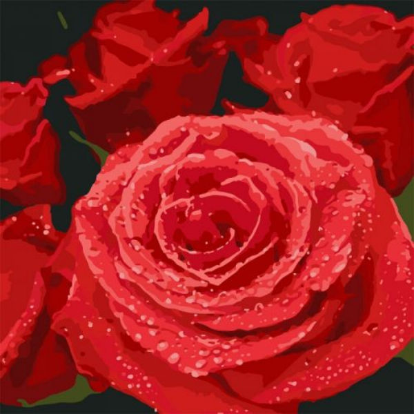Картина по номерам "Красные розы" ★★★★ КНО3089