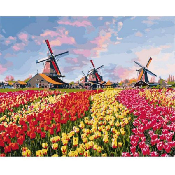 Картина по номерам "Красочные тюльпаны Голландии" ★★★★ КНО2224