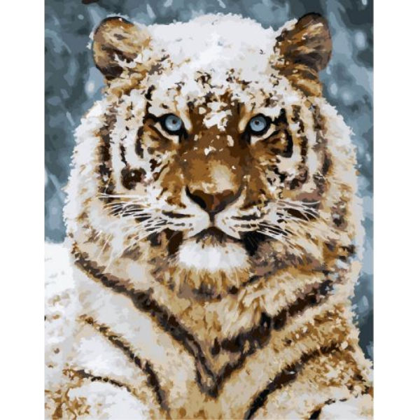 Картина по номерам "Уссурийский тигр" ★★★★ КНО4140